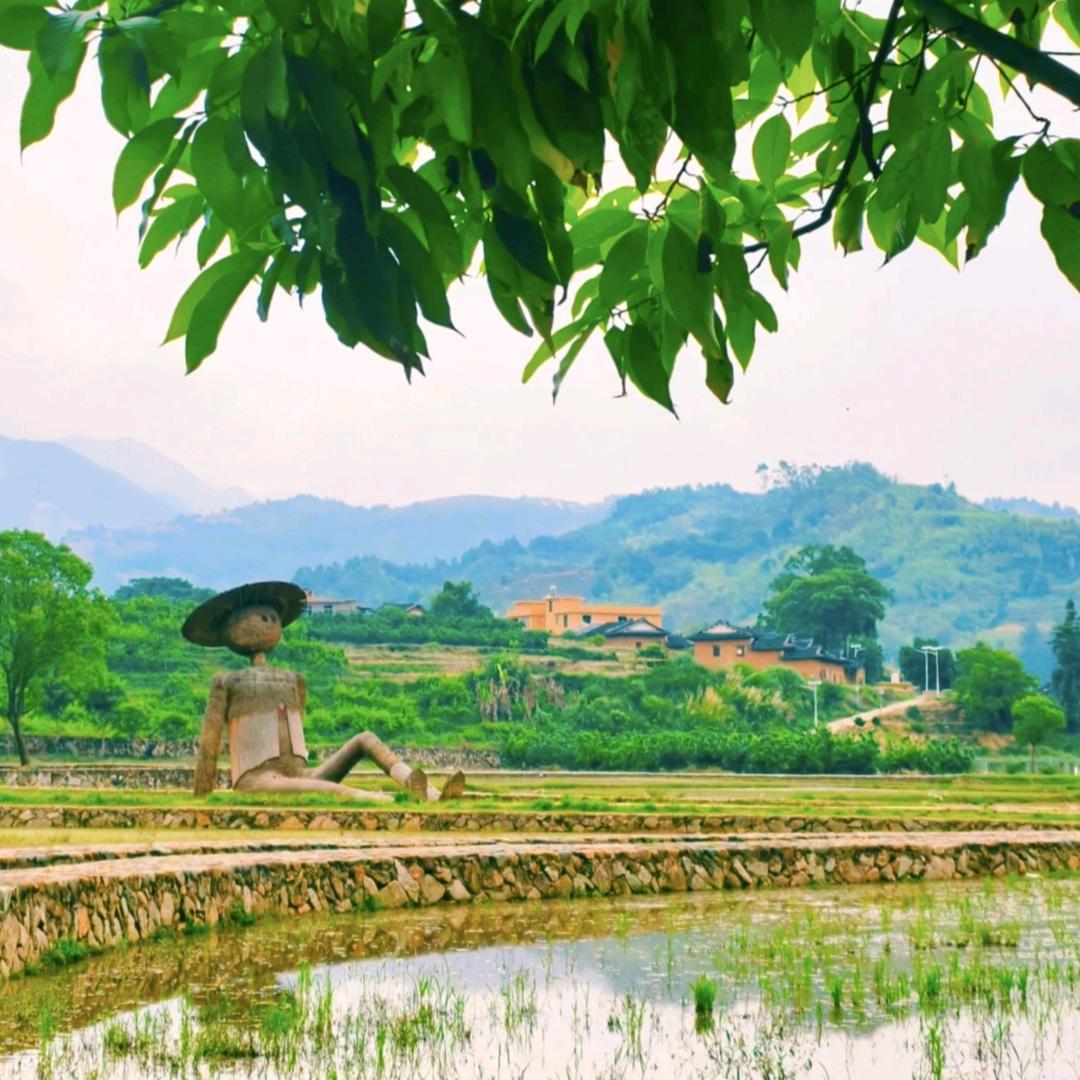 老黄来寻村