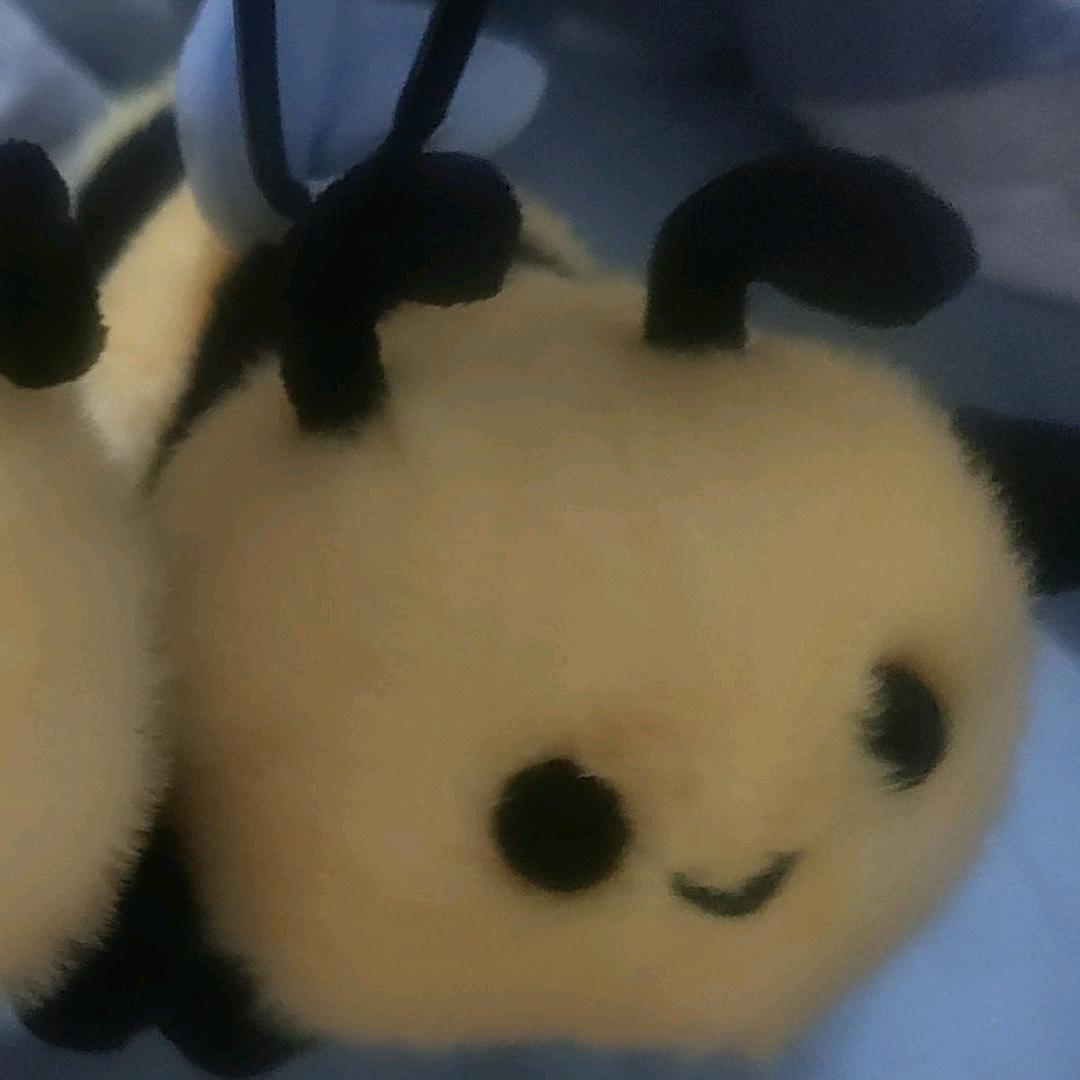 🐝1198🍀燕姐