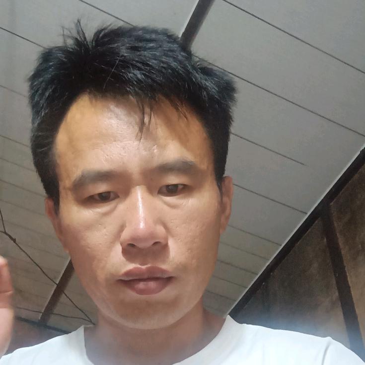董保云