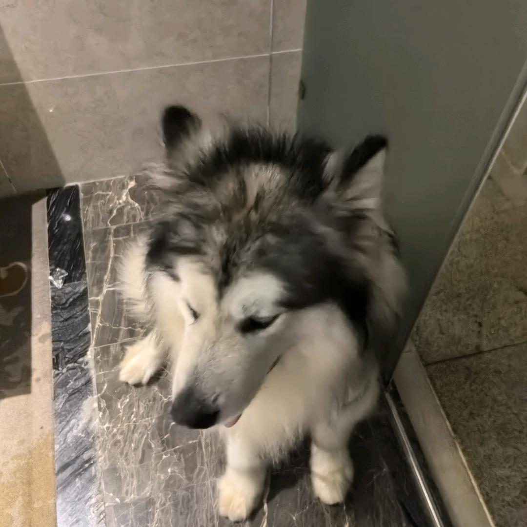 康康谈看生活
