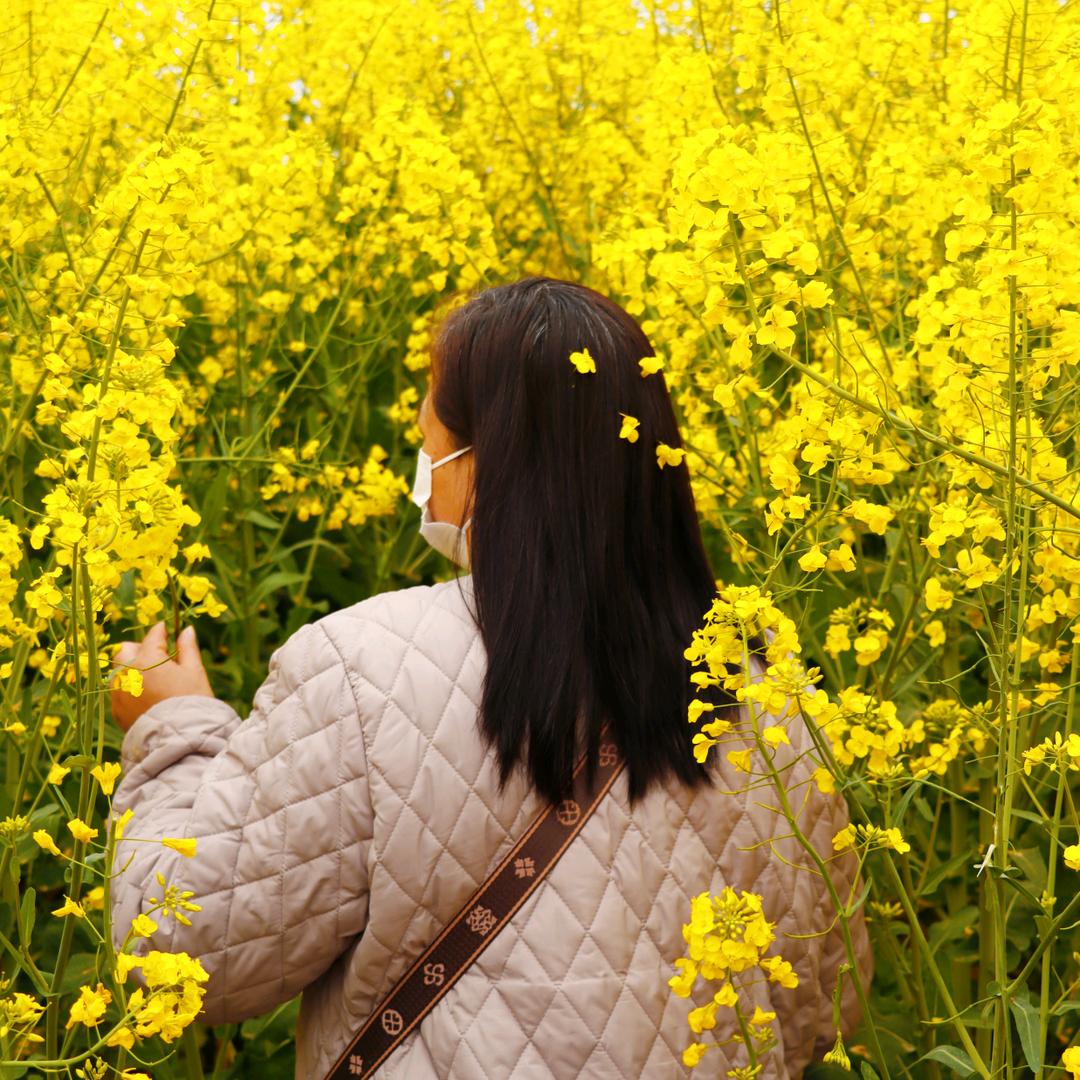 香香