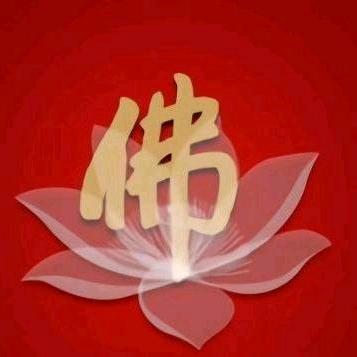 小普陀方哥