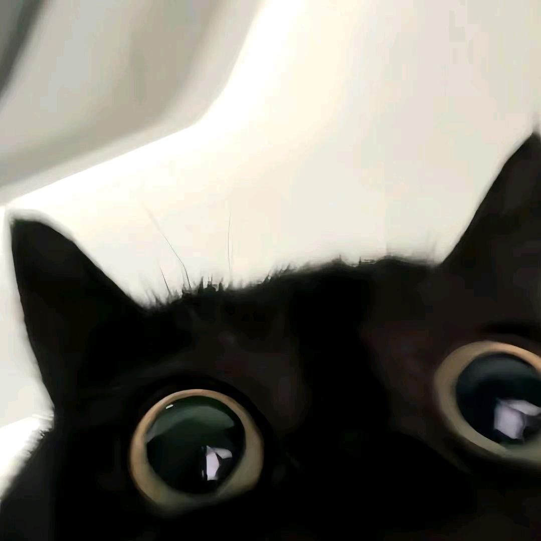 双鱼