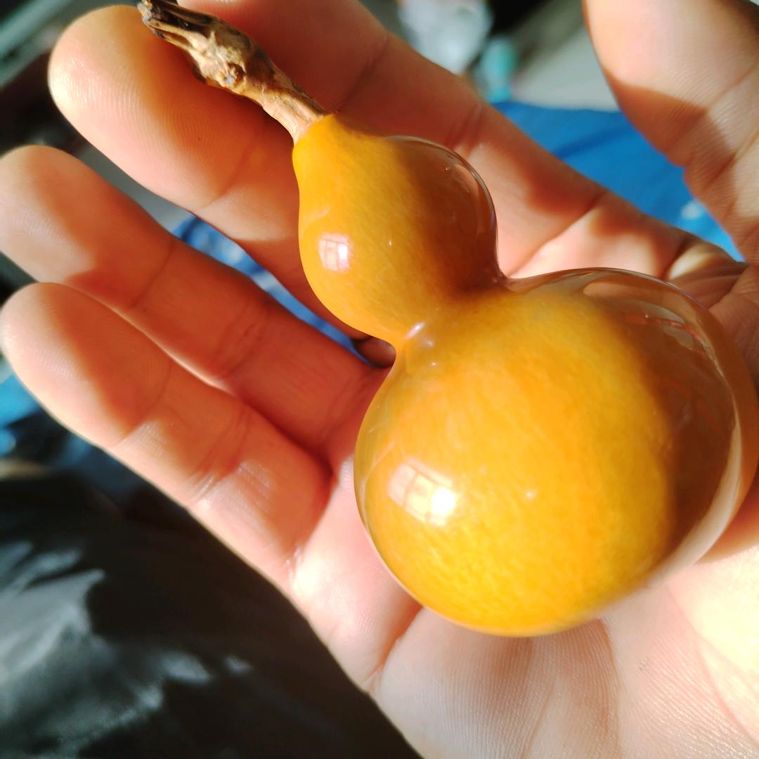 🌹❤️回眸一笑❤️🌹