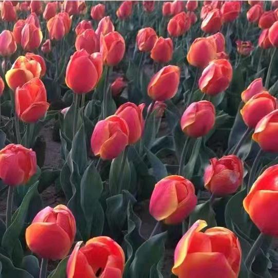 往后余生，都是你