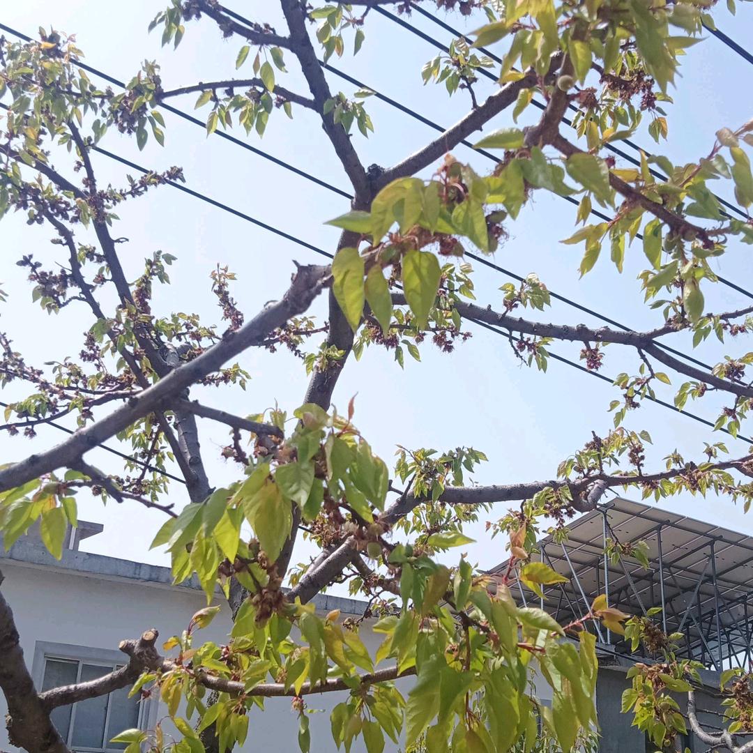 家长里短