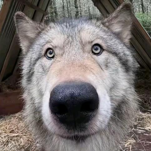 天不生我GG怪ℋ