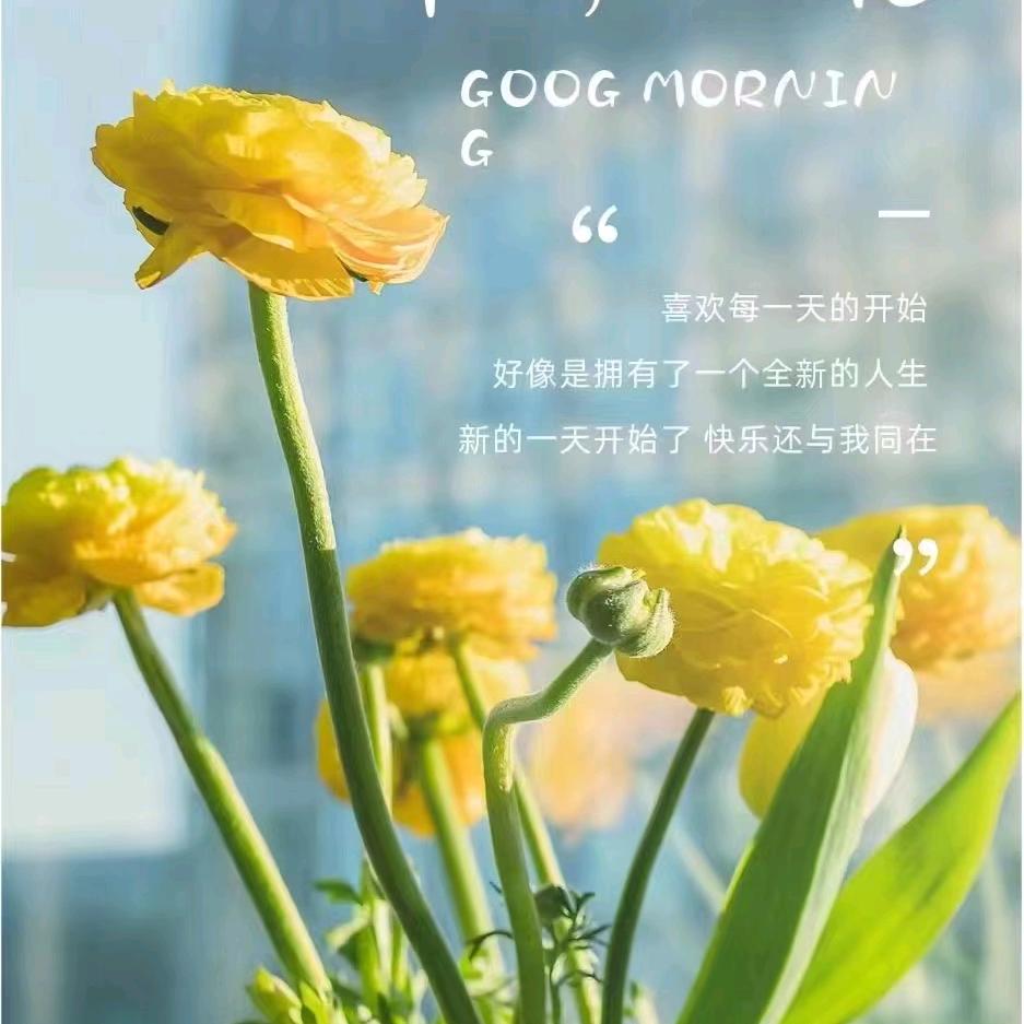 ღº雾野◌ོ꧔ꦿ