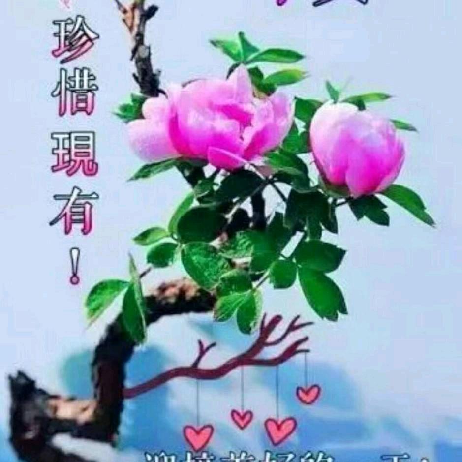 一枝梅幺妹
