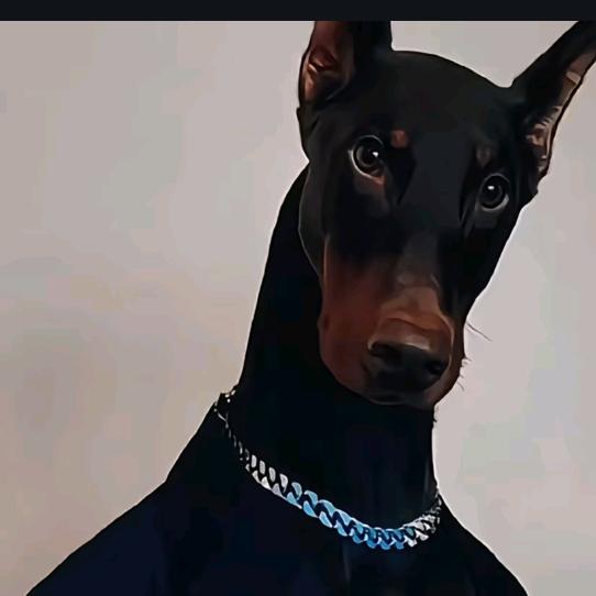 看一哈撒