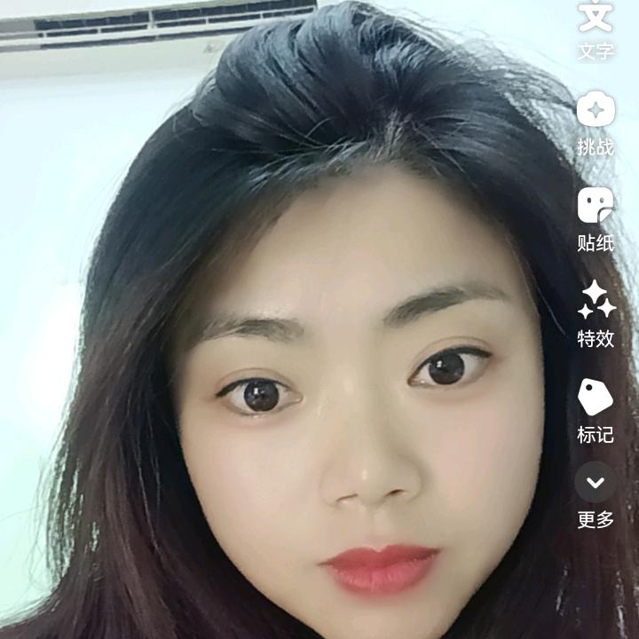 菊