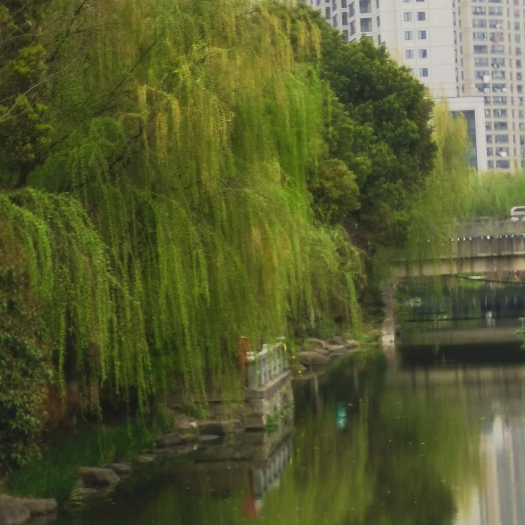 杭州老陈钓鲢墉