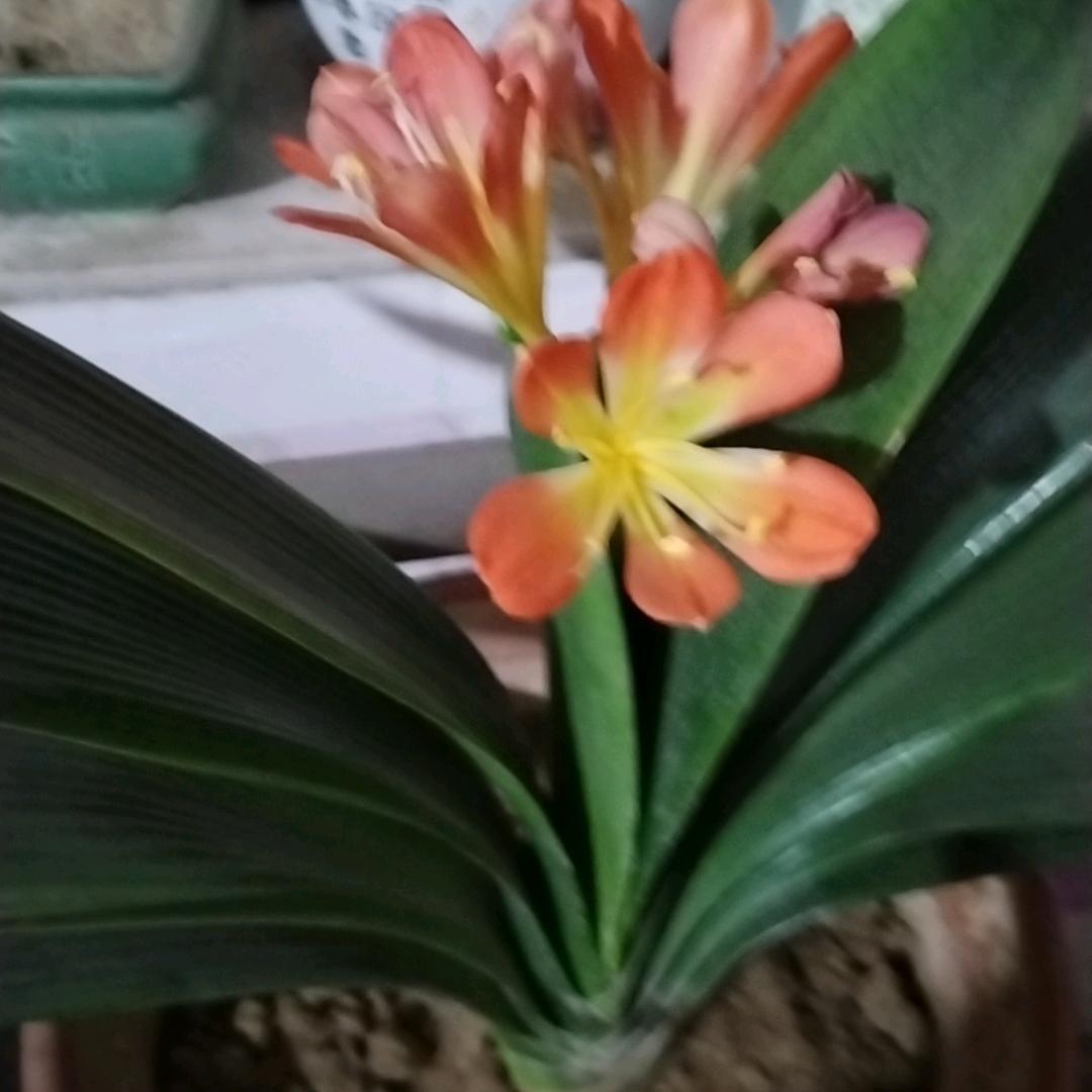 邢台防盗门改色灶台贴膜