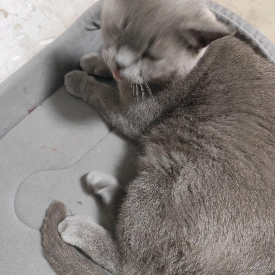 Hujhj