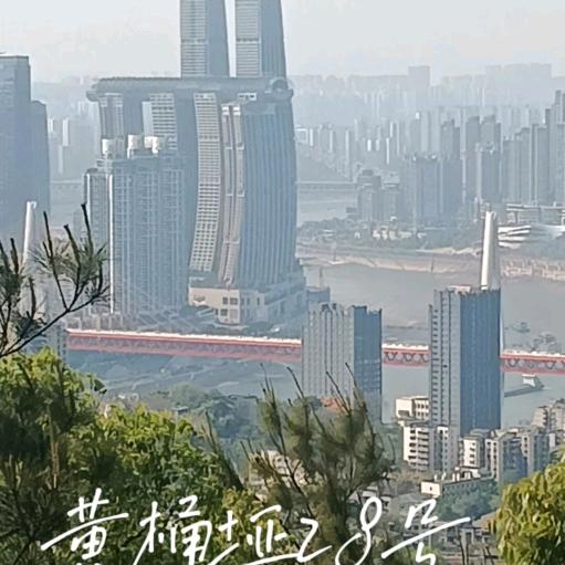 不知所想