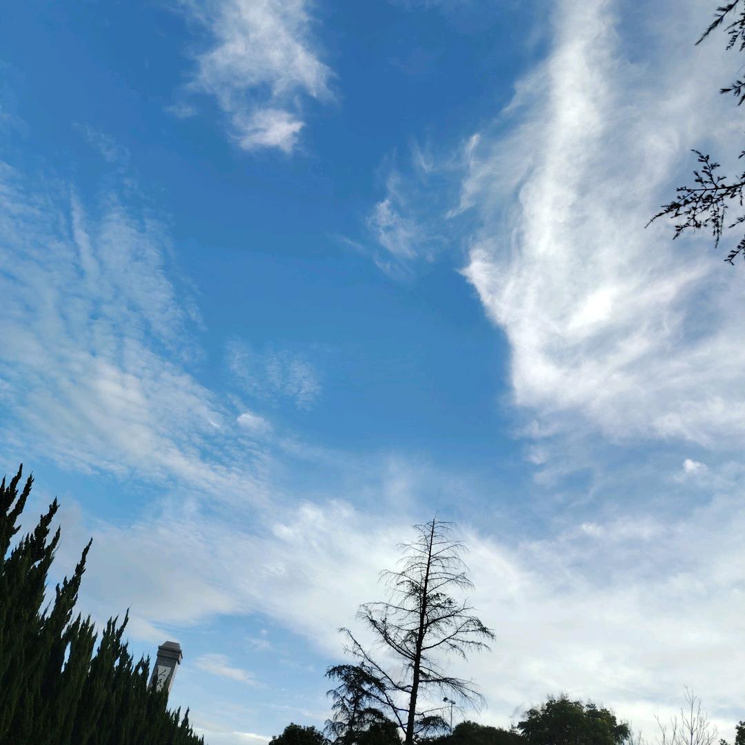 🦋四季🌺安然ꦿ