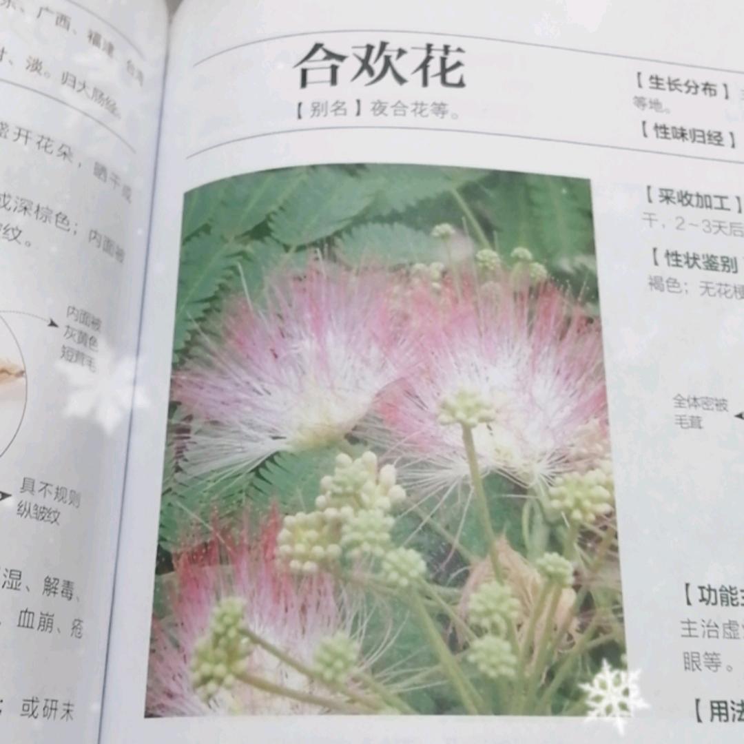 沐