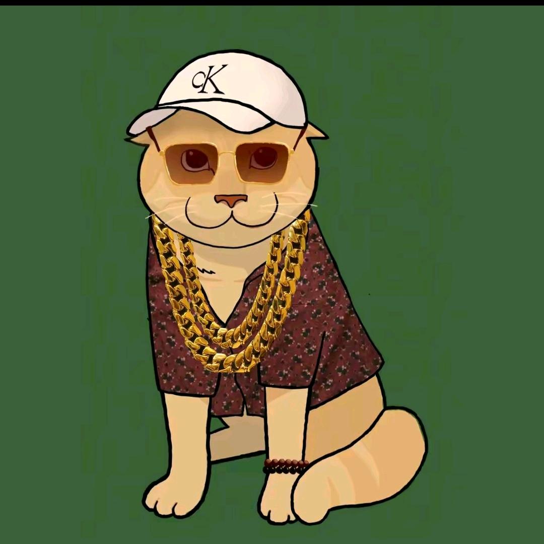 哈基揽佬😂（国一许攸）