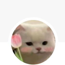 一只勤奋的王八