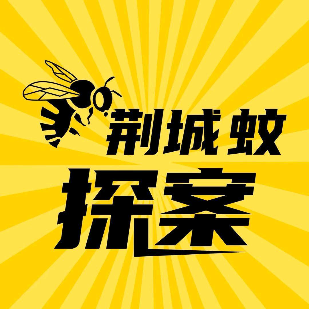 荆城蚊探案