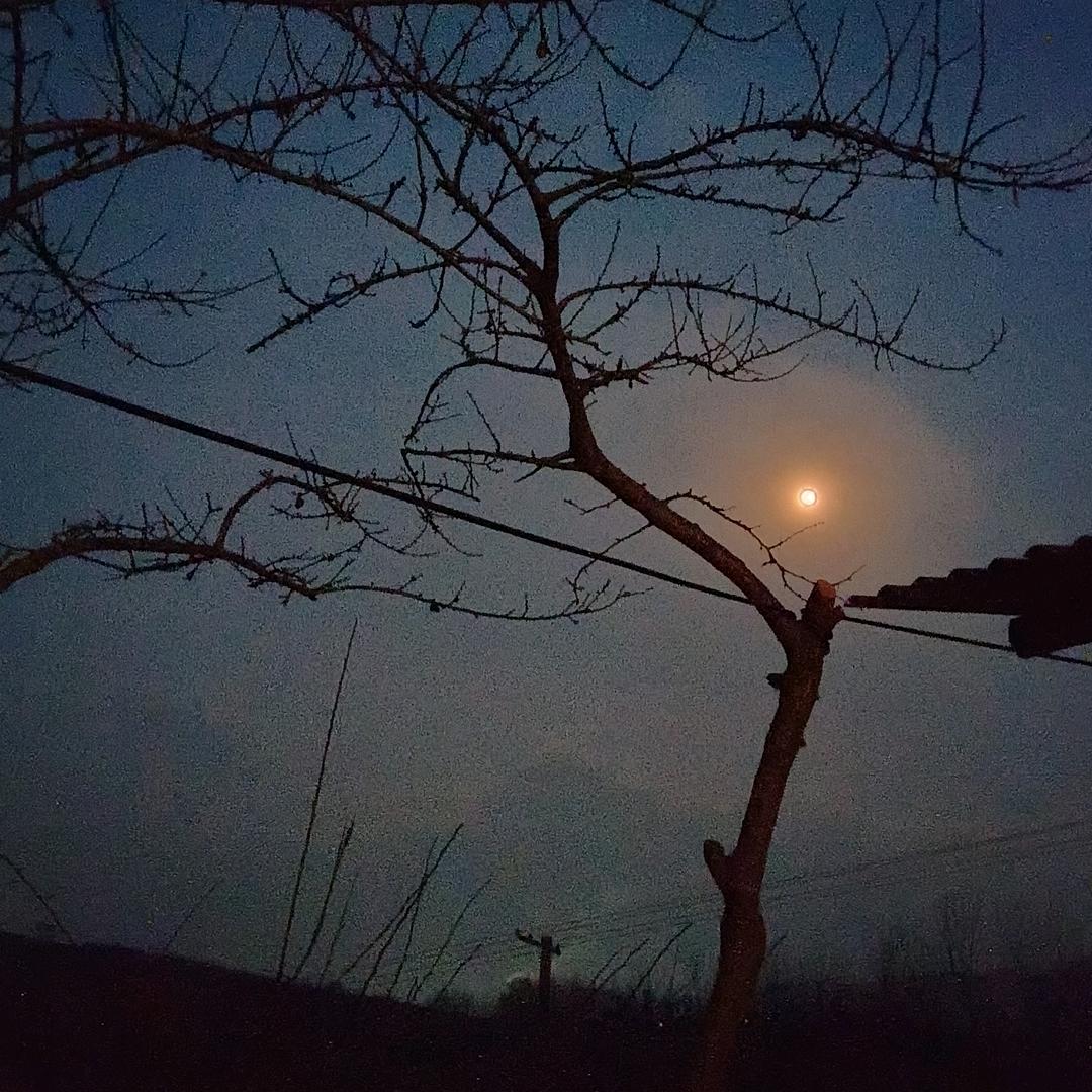 不离不弃