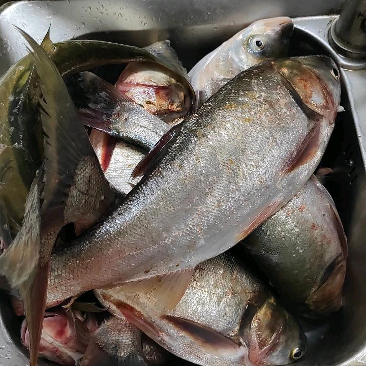 在屋头