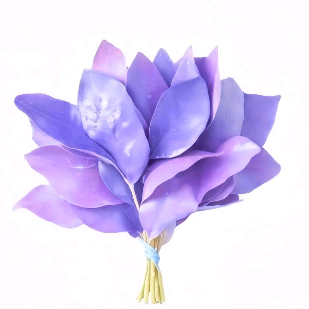 一般只用四倍镜