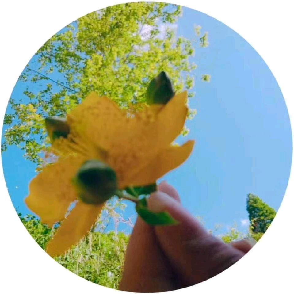 莉╭(╯ε╰)╮嘟嘟  成☘️☘️