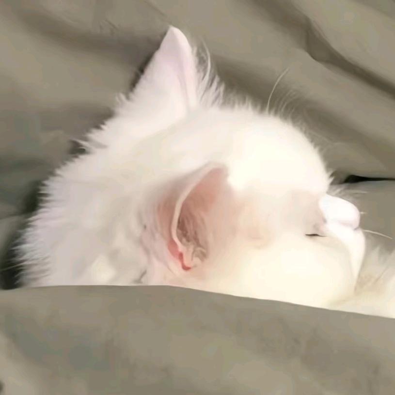 安