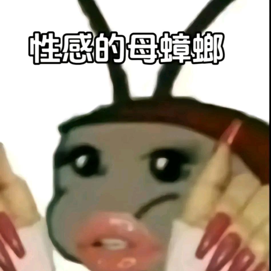 18岁性感母蟑螂狂抽男模嫩腚被抽死