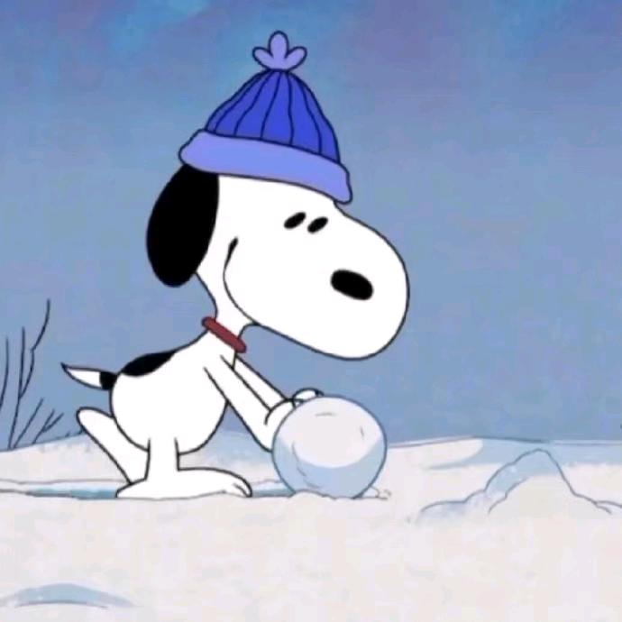 推雪球