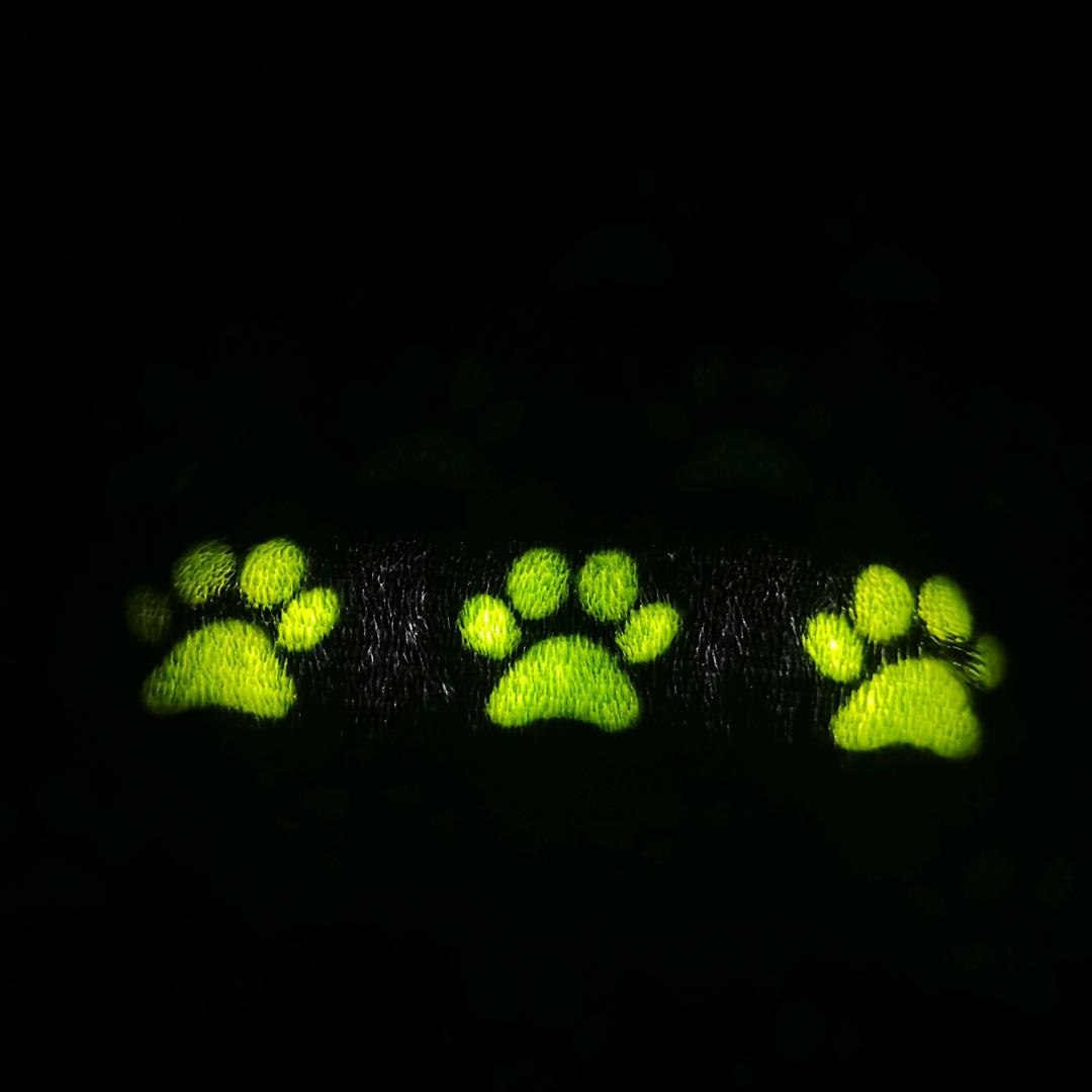 猫猫日常（搬家装饰版）