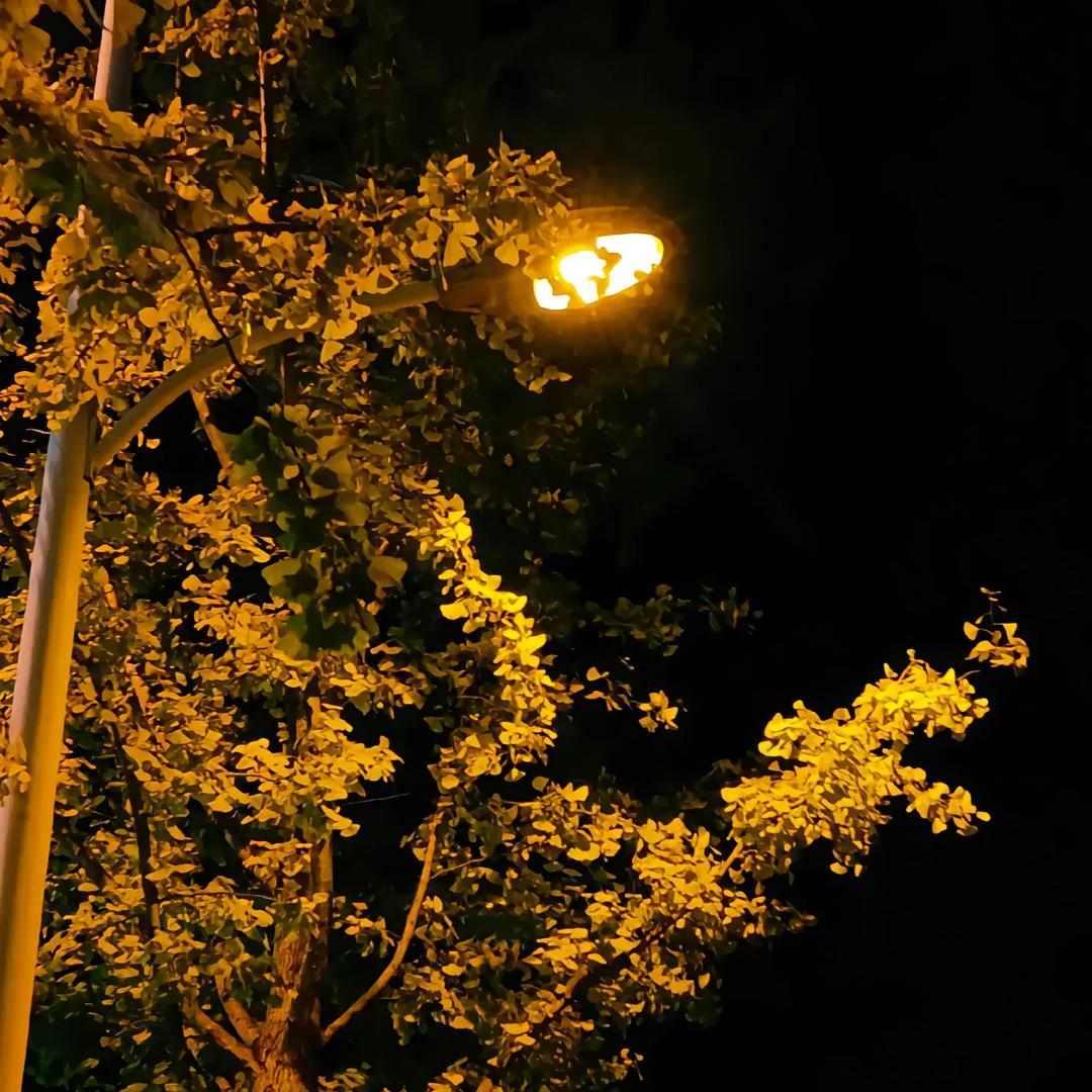 遗এ憾🚬的🍶过客