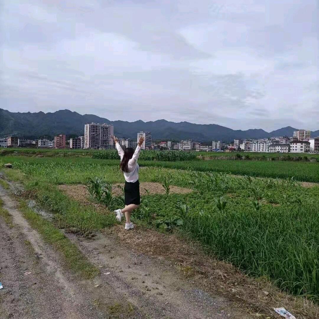 诠释淡然