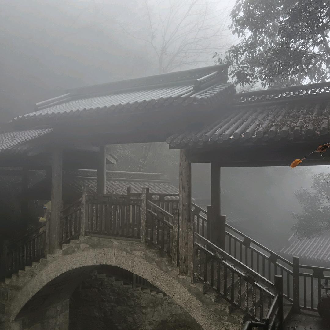 靓丽人生