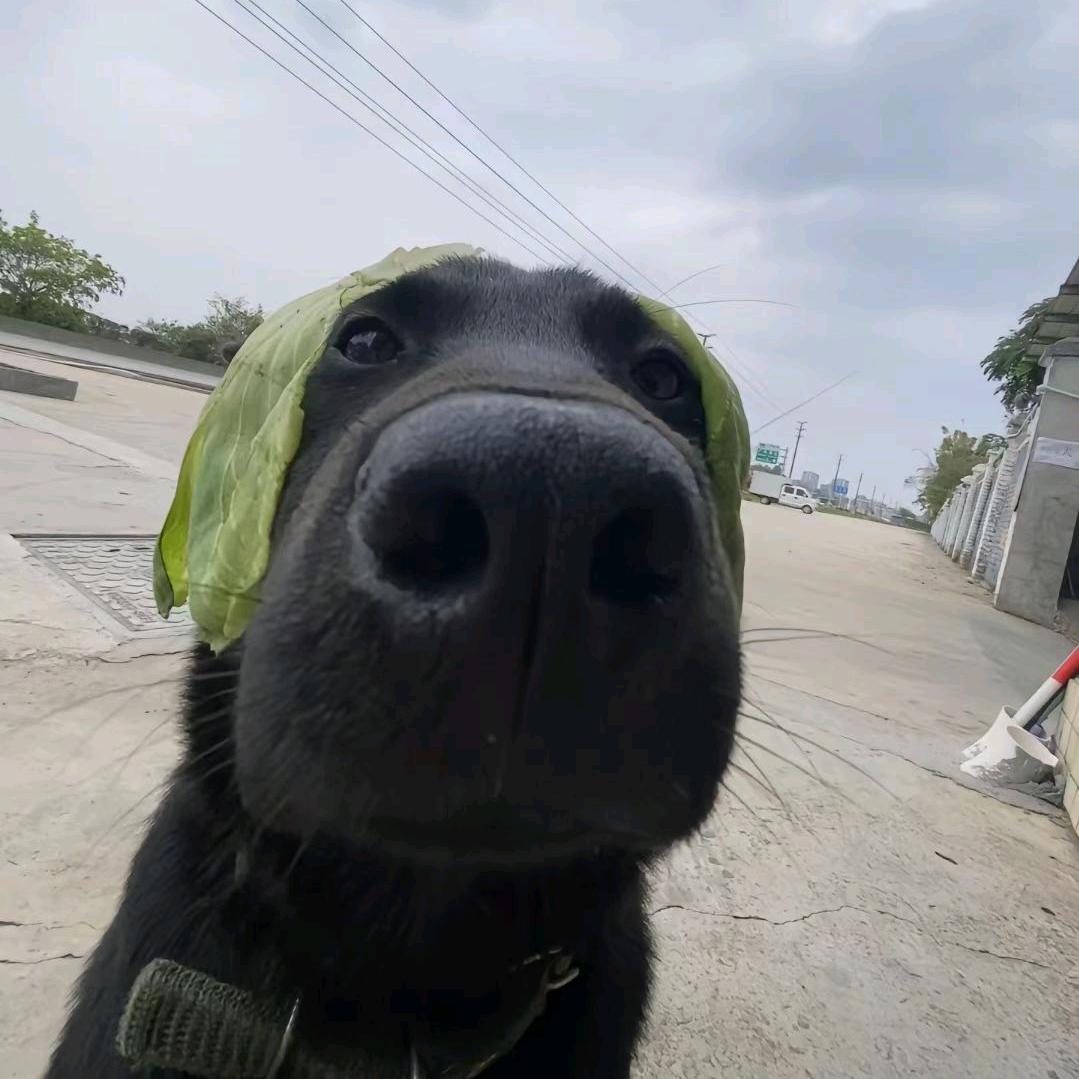 比奇堡最穷的人