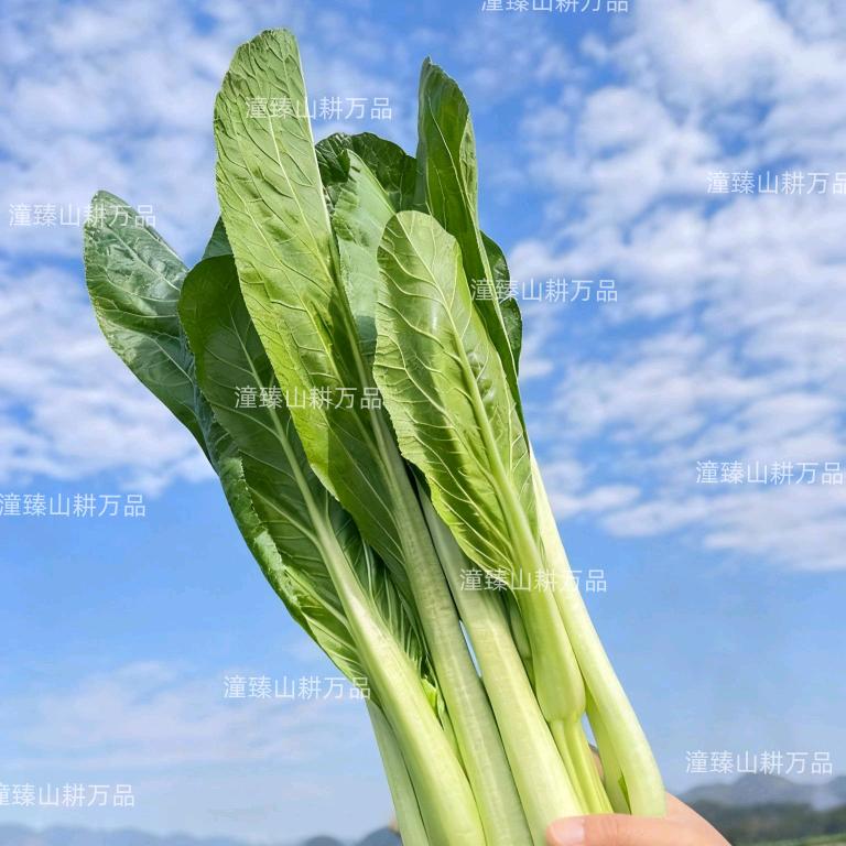 潼臻山耕农产品严选店