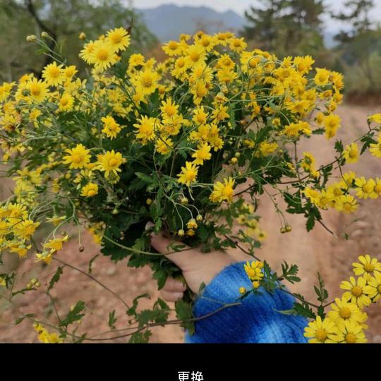 展望未来