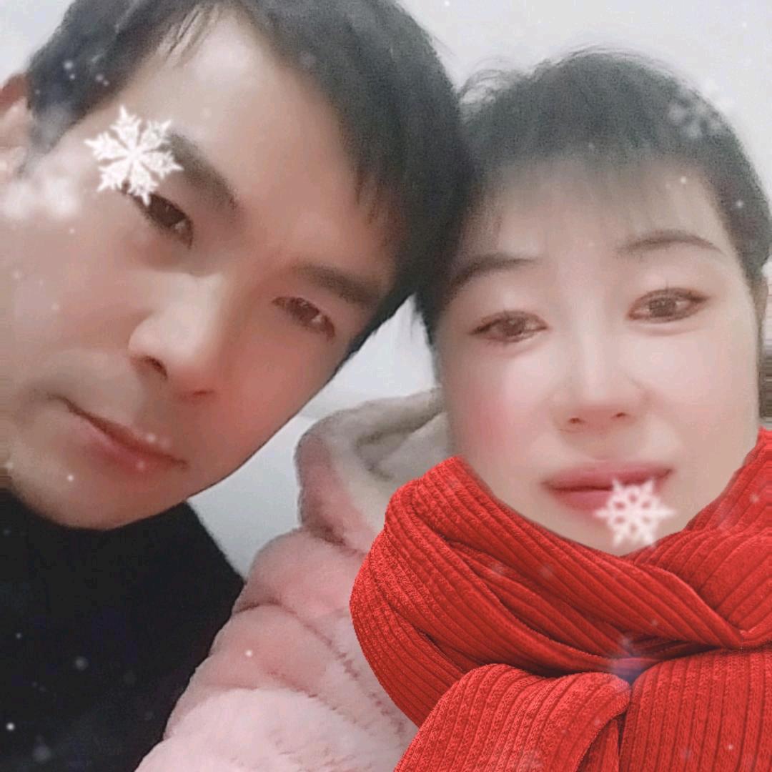 西红柿炒《番茄》