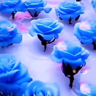 一生平安（不定时直播）