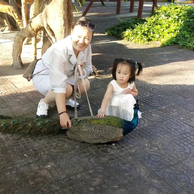 小主妇