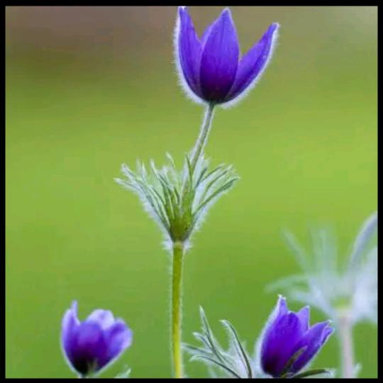 心中有苦说不清