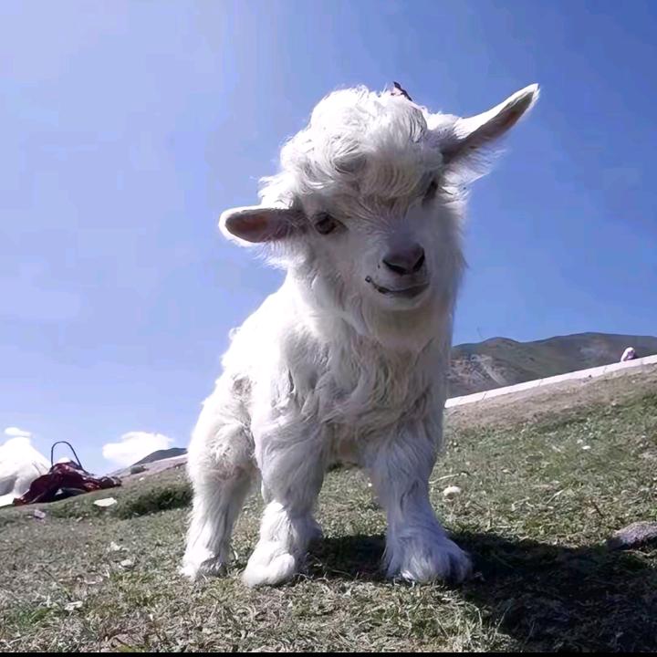 🌈轻凉有点饿