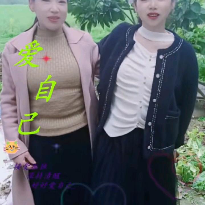 乒乒乓