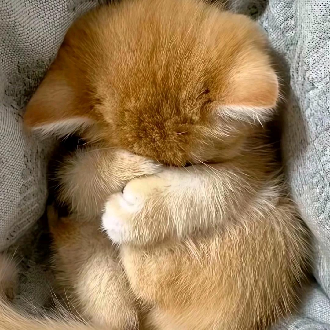 ︋︋︋︋︋   80岁杵拐老太