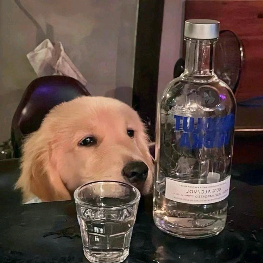 斌          仔