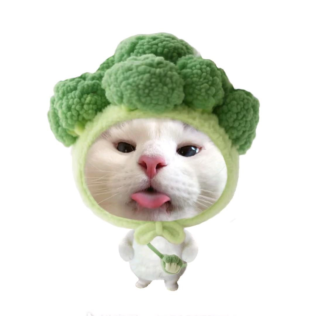 飯 /.