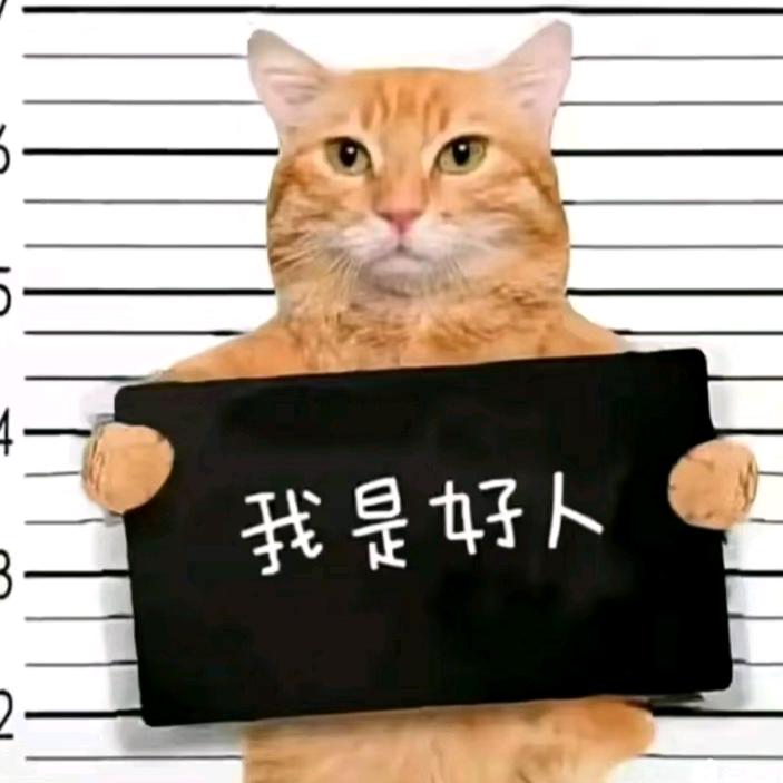 终不似少年游。