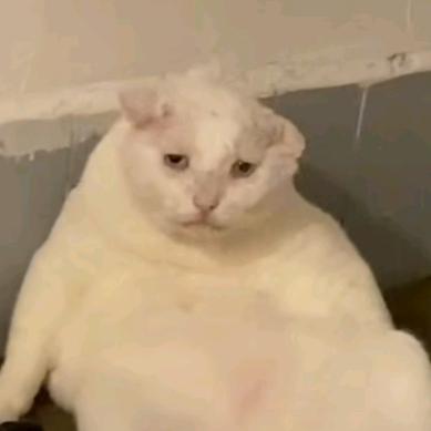 累嘛了૮₍ɵ̷﹏ɵ̷̥̥᷅₎ა