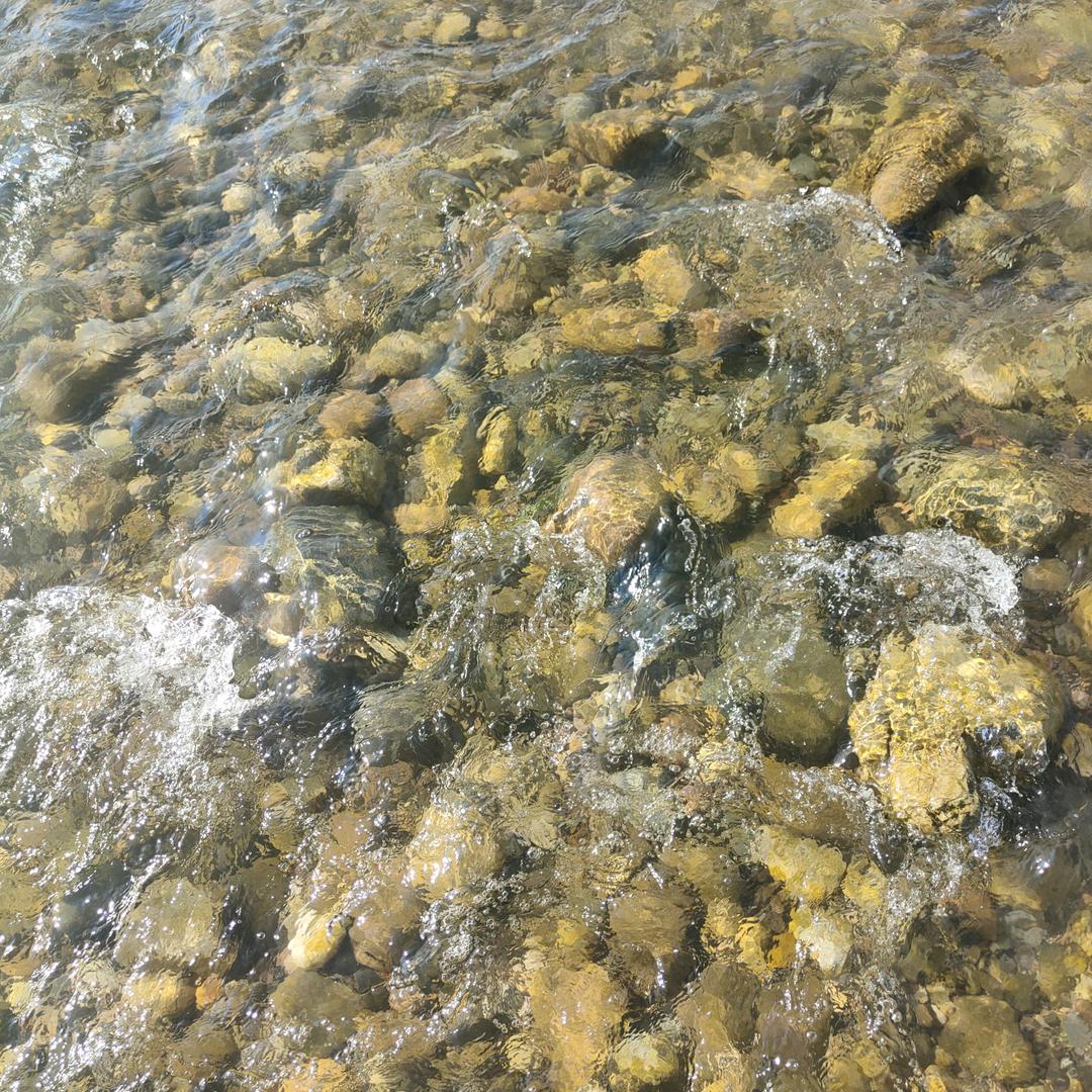 (梦想成真)